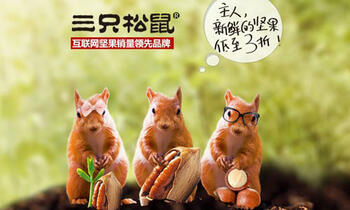 三只松鼠“小堅(jiān)果的大生意經(jīng)”：如何在半年內(nèi)實(shí)現(xiàn)4億銷售？