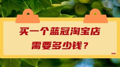 買一個藍冠淘寶店需要多少錢？