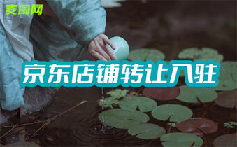 京東網(wǎng)店轉(zhuǎn)讓