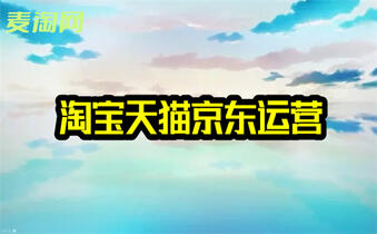 淘寶代運(yùn)營(yíng)
