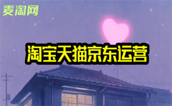 網(wǎng)店運(yùn)營