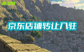 京東入駐