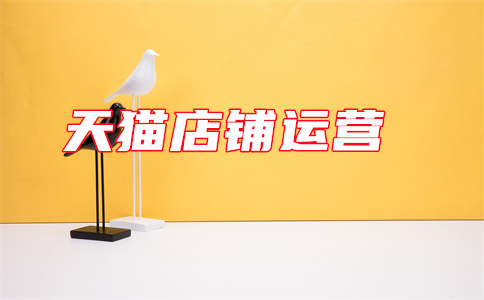 天貓店鋪流量
