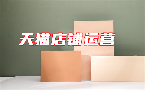 天貓店鋪運(yùn)營
